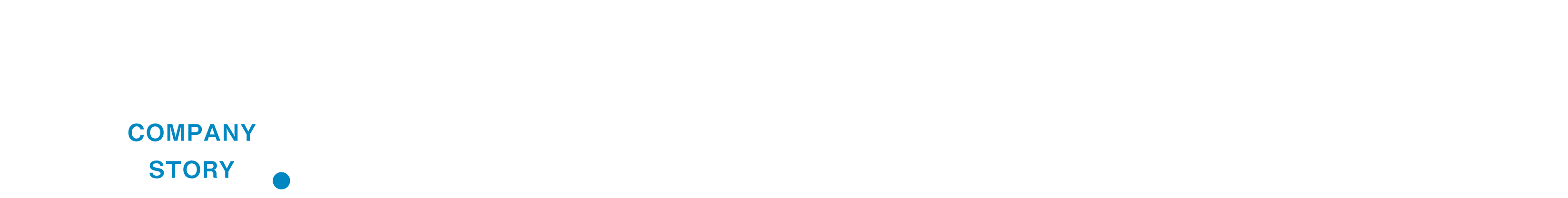 COMPANY STORY